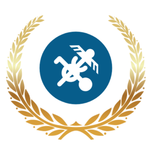 Licencja celno-podatkowa UE